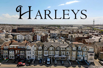 Harleys